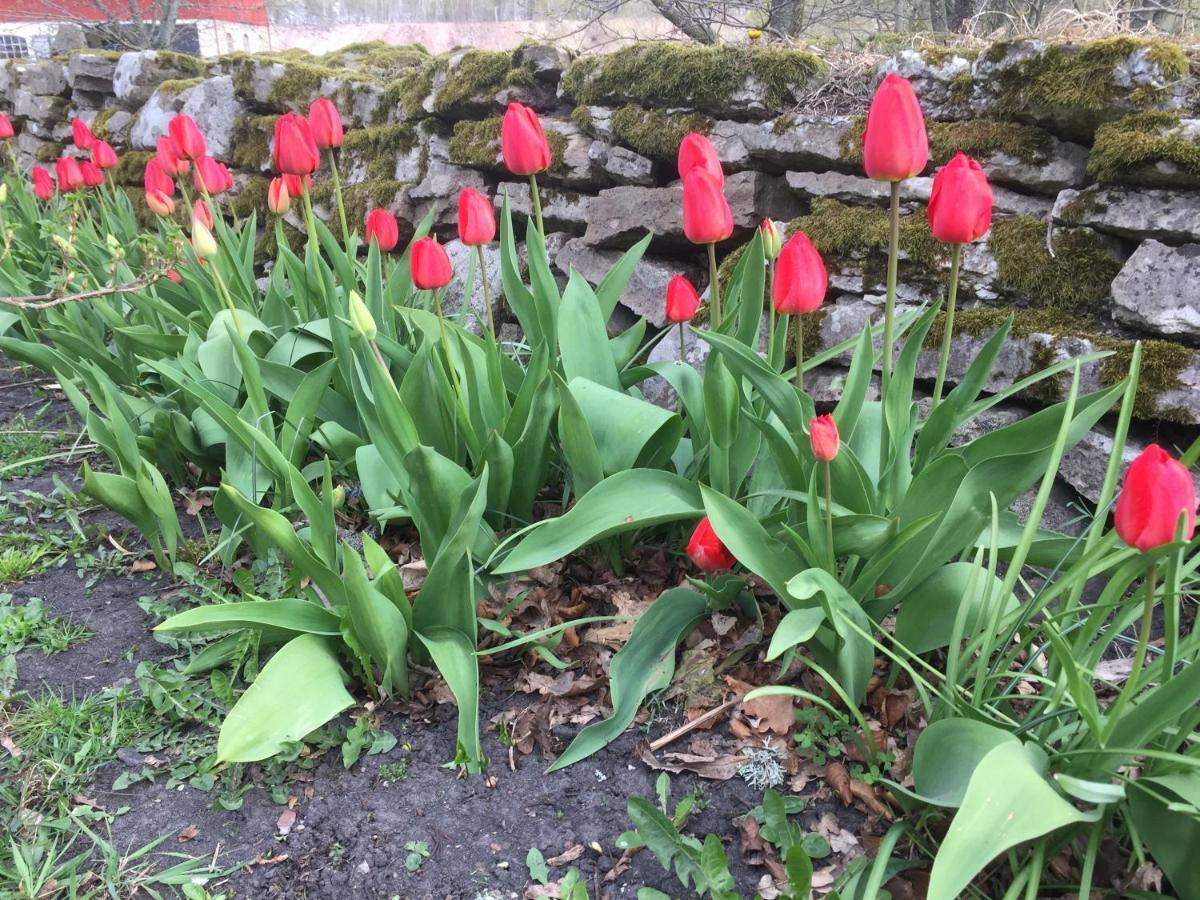 Stenbrottets Lillstuga Falköping Exterior foto